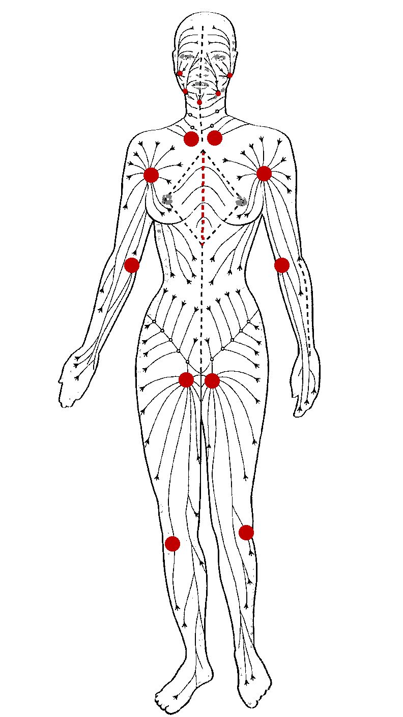 Drainage lymphatique, ce que vous devez savoir Mélanie Massothérapie